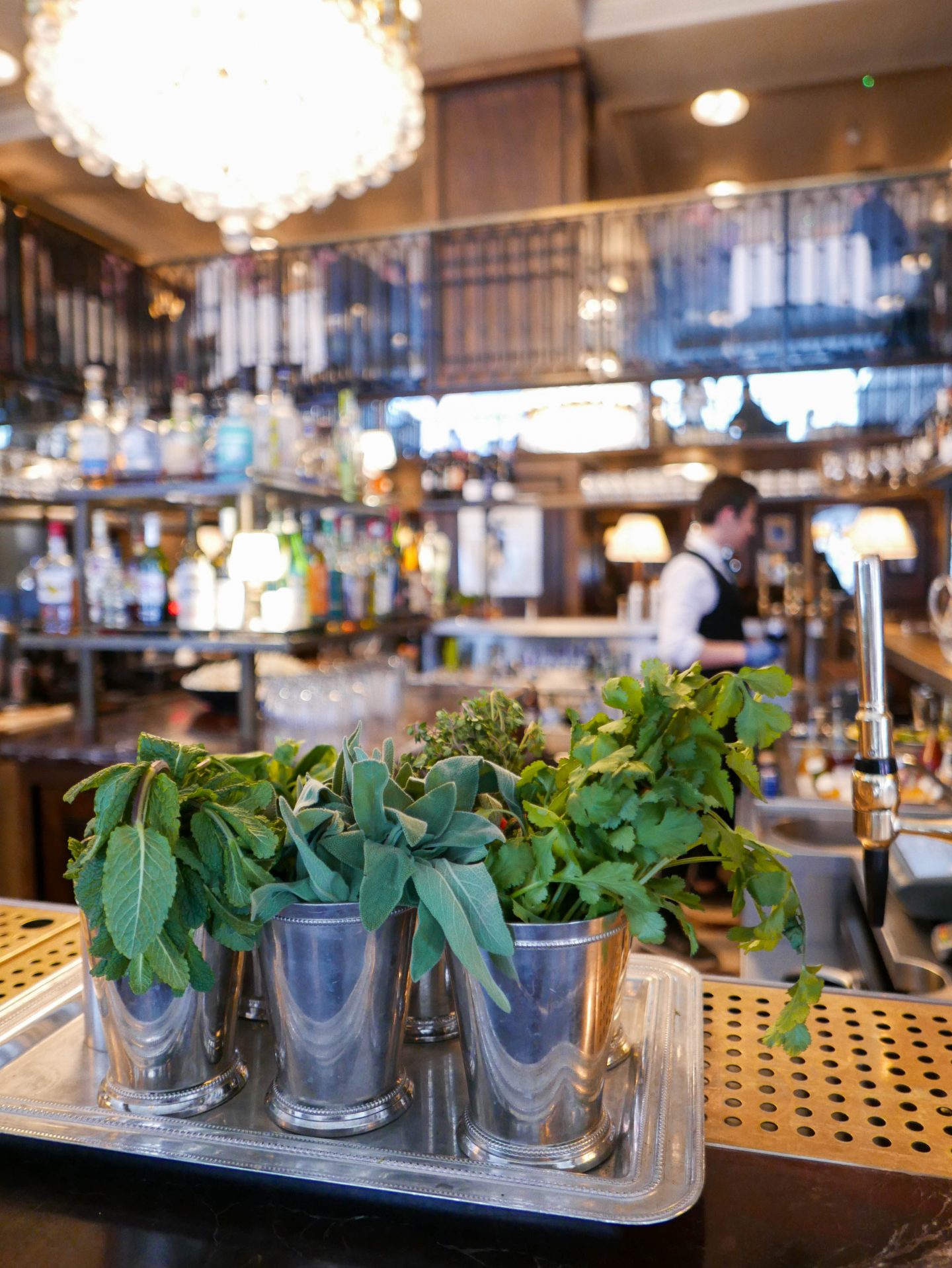 Ladies Lunch at Cafe Monico